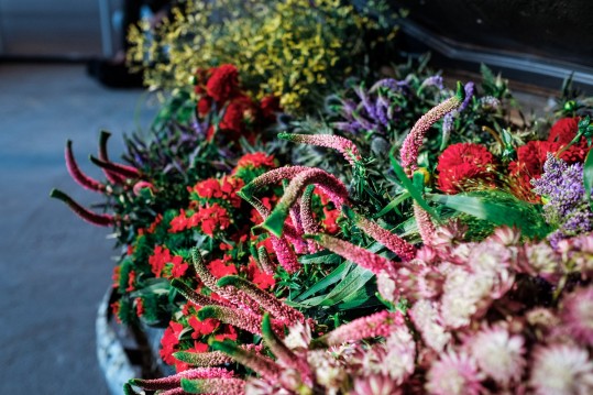 43687693 1988878071159134 4977290260481310720 o