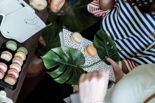 44803763 1988879461158995 406687756018778112 o