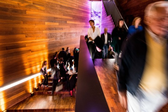 311412461 10159999688446737 4996256104733860922 n